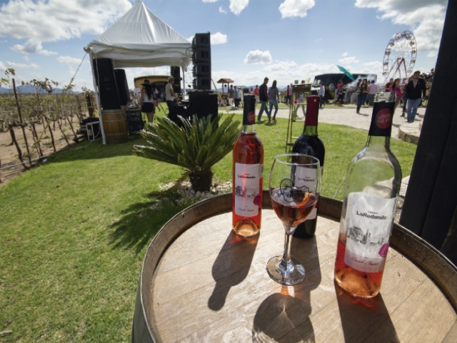 Degustación de vinos