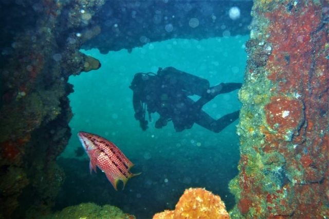 Buceo