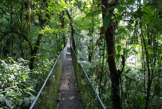 Diversión en nuestros puentes colgantes