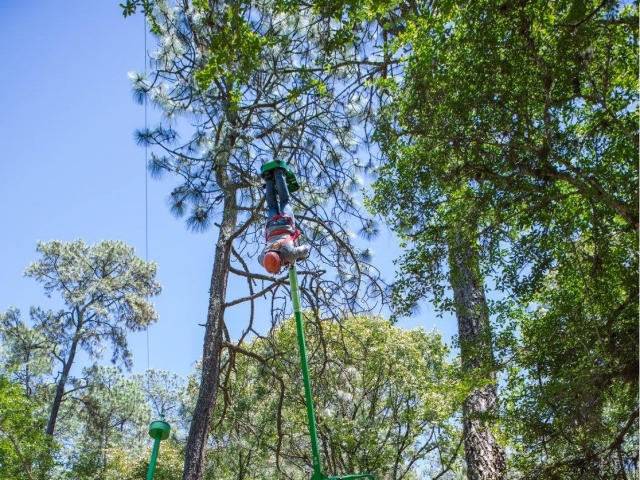 Boca abajo en el columpio