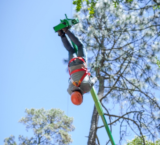 Disfrutando de la emoción del columpio gigante