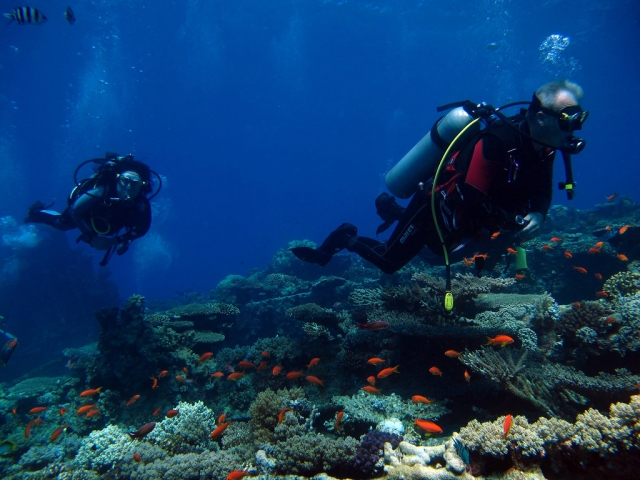Buceo con peces