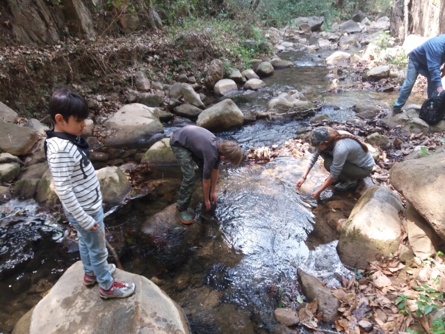 Niños en la parada en el río