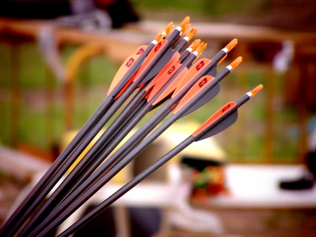 Flechas para la actividad