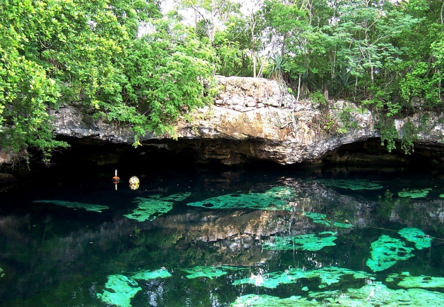 Aguas dulces del cenote Yalahau 