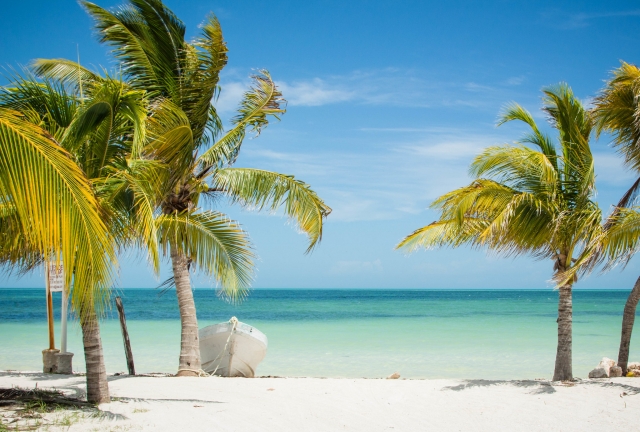 Disfruta la playa 