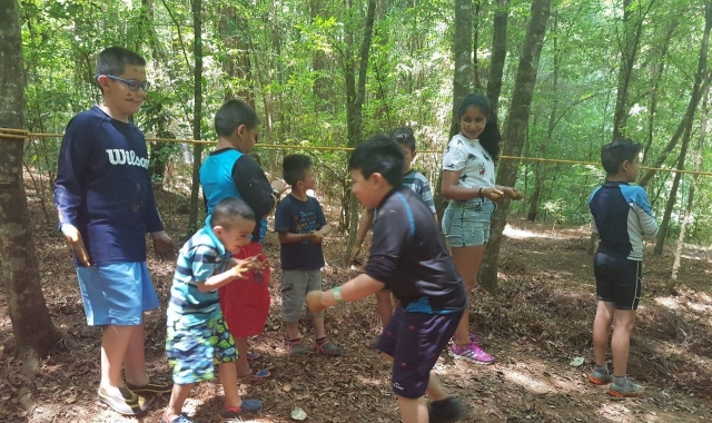 Juegos en el bosque