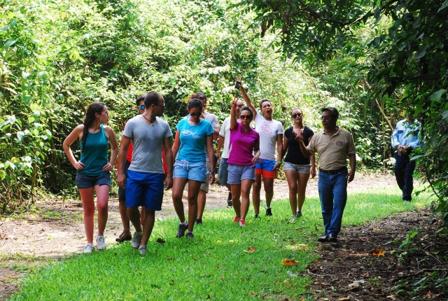 Practica senderismo para estar en enchufe directo con la naturaleza 