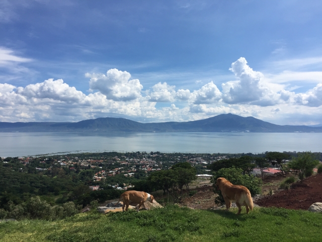 Chapala vista desde el monte