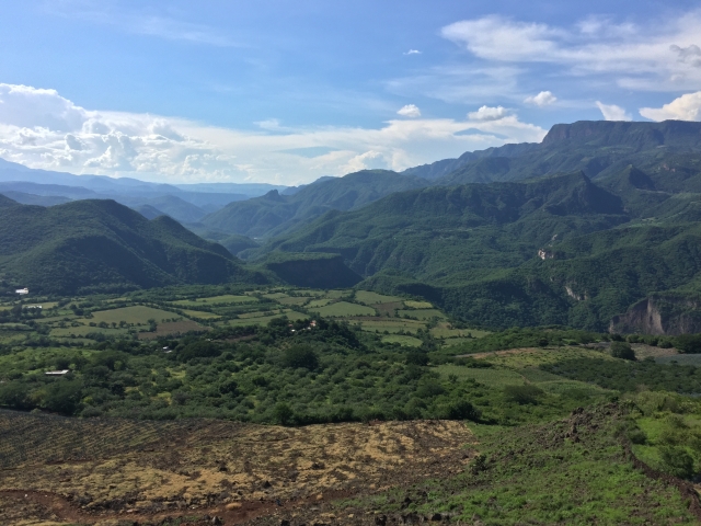 Enamórate de la naturaleza