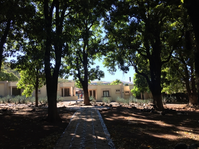 Recorre cada lugar de Tequila