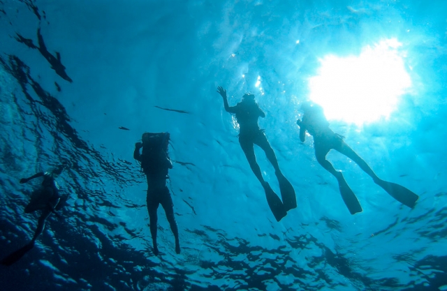 Snorkeling en la isla