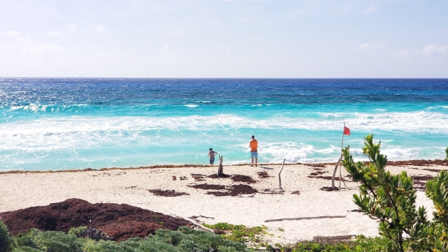 Playa de San Martin