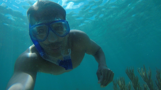 Snorkel en el arrecife