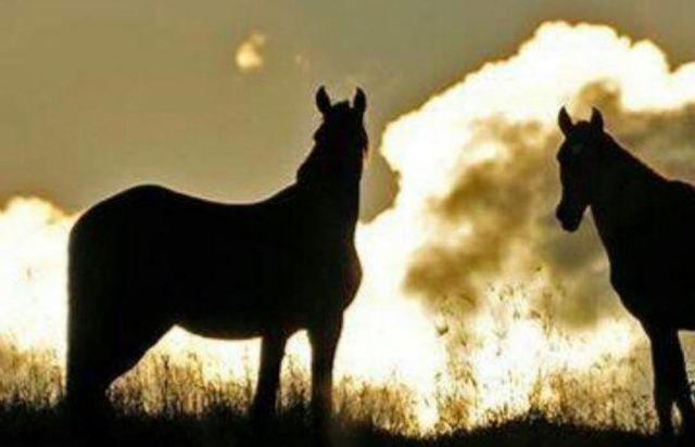  Ruta a caballo por Mixtlán