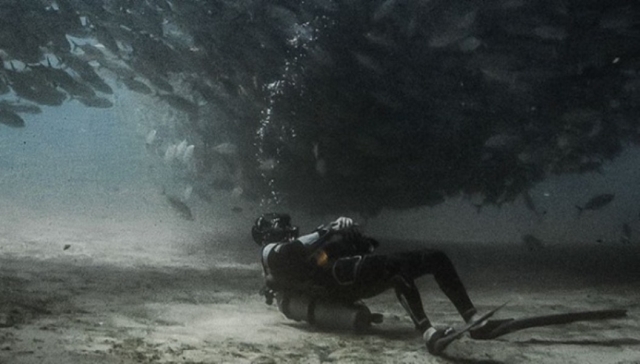 Atrévete a vivir la mejor experiencia en Veracruz