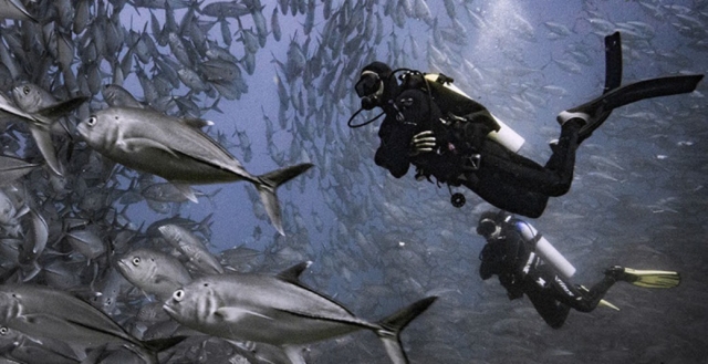 Disfrutando de las profundidadererererereres en Veracruz