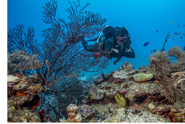 Especialidad buceo profundo
