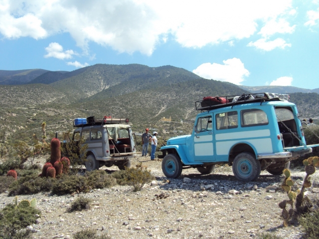 Visita guiada en jeep willy en San Luis Potosí