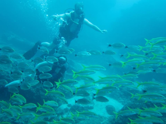 Inmersiones de buceo en Malinal