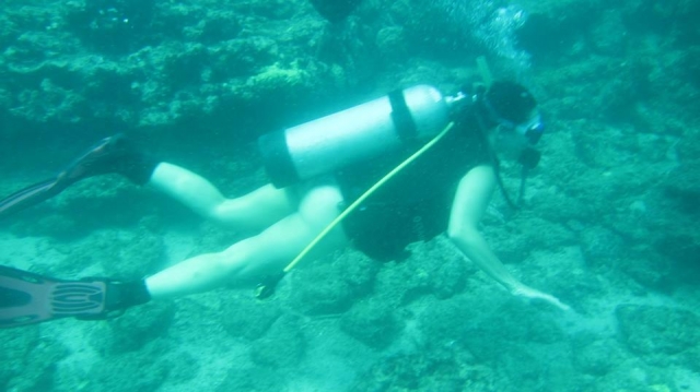 Buceando en Islas Marieta