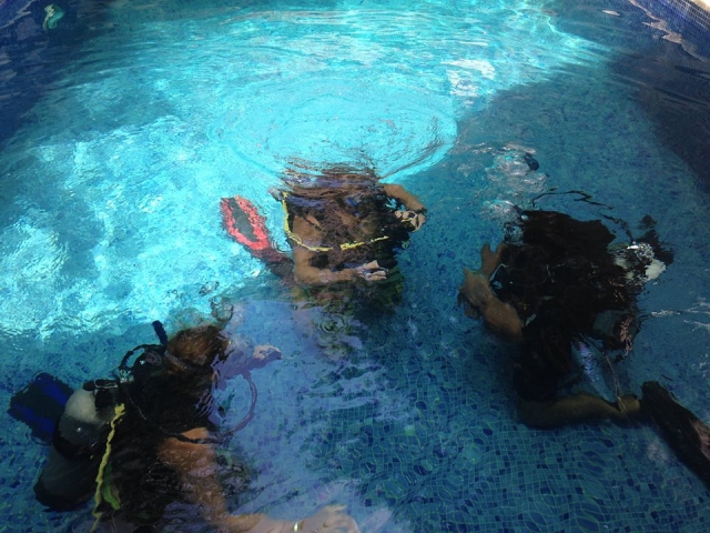 Curso de buceo con certificación