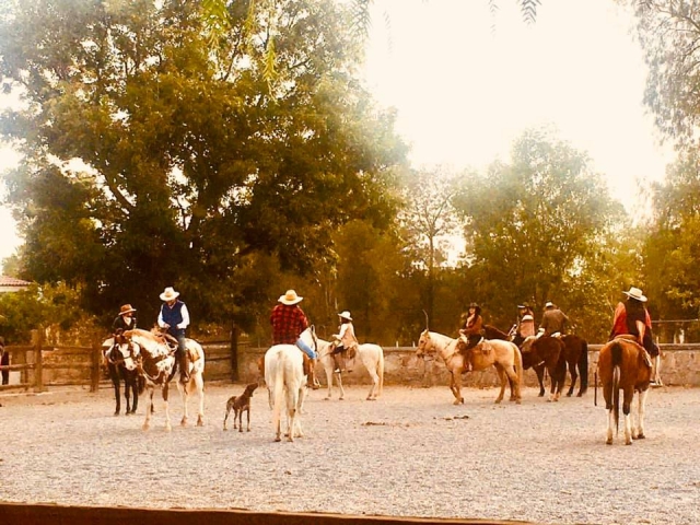 Disfrutando del paseo a caballo