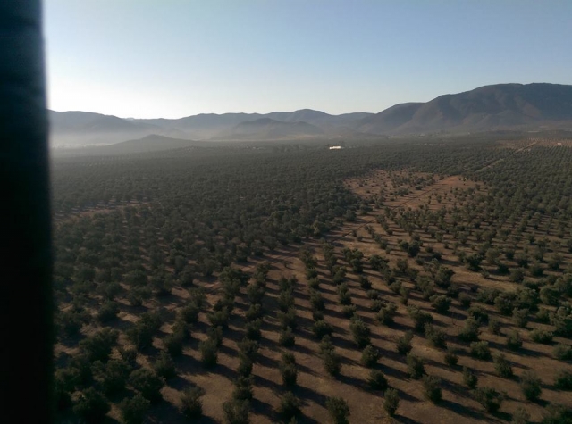 viñedos en baja california