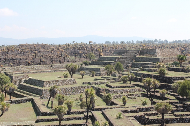 Zona Arqueológica de Cantona