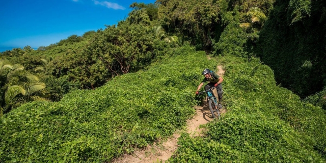 Alquiler de mountain bike en Sayurita