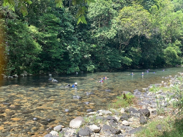 Nadando en el rio