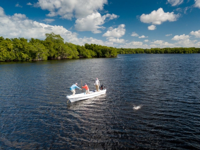 Pescando en el pantano