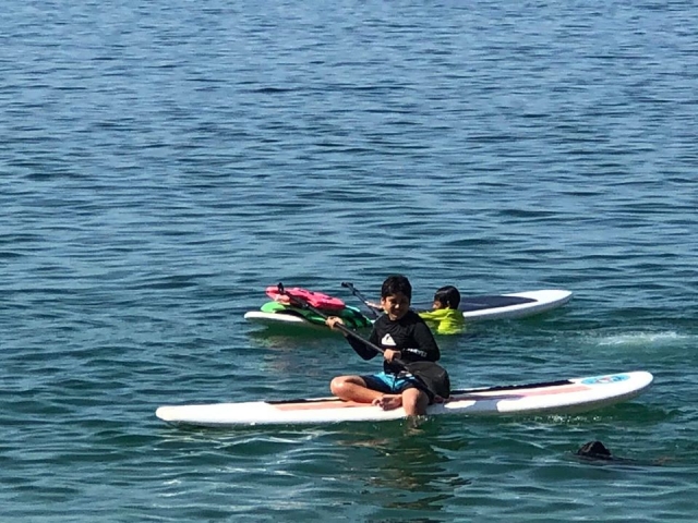 Sobre las tablas de paddte surf