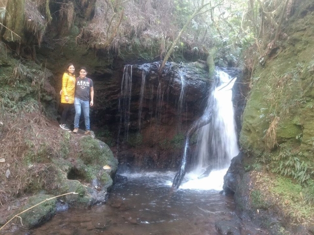 Visita la naturaleza del lugar