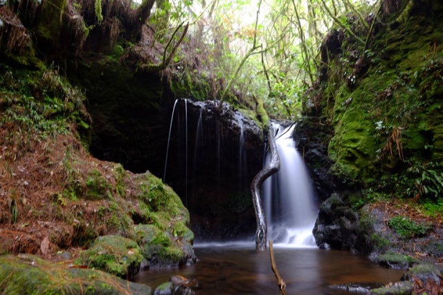 Cascadas de Huauchinango