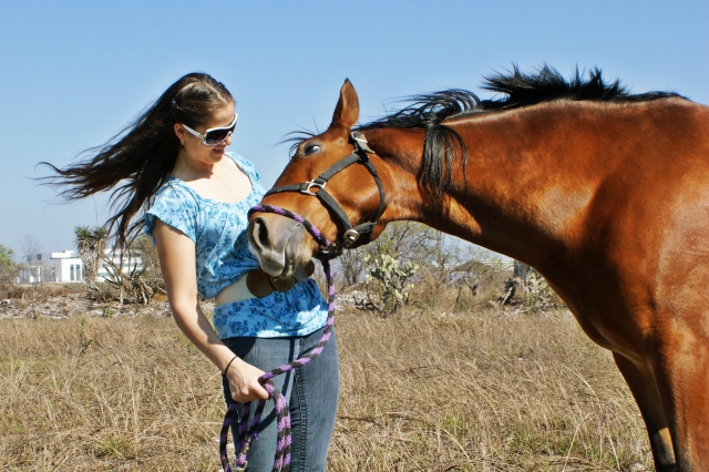 Conviviendo con hermoso caballo