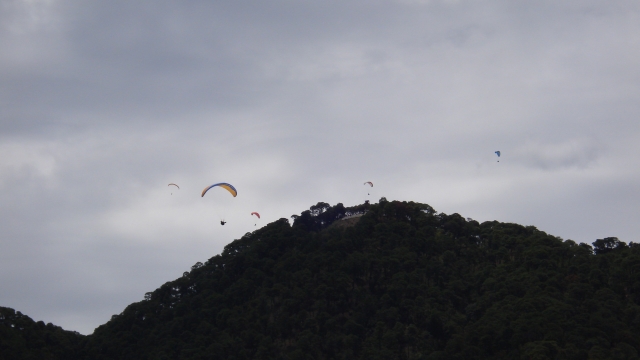 Parapentererererereres sobre montaña y bosque