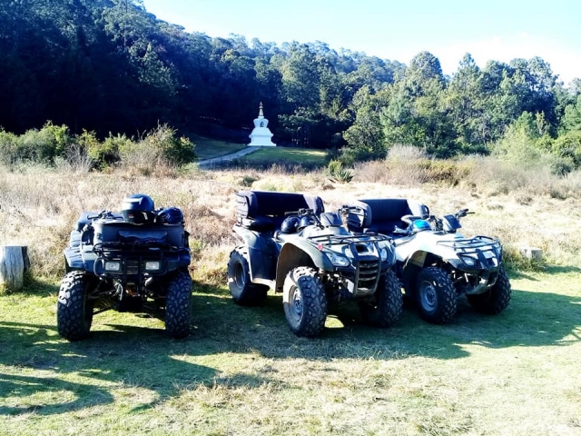 Quads en la stupa