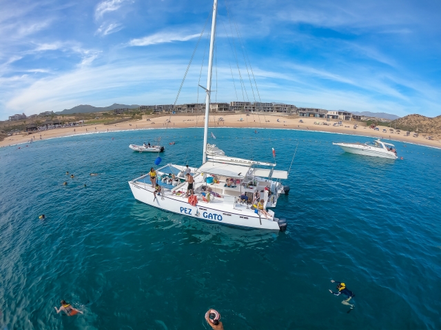Visita guiada en barco en Los Cabos