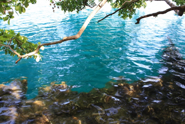 Cenote azul