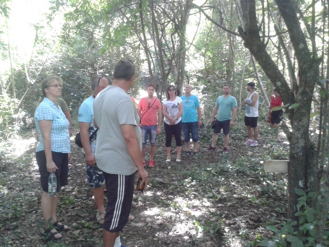Juntos dentro de la selvas