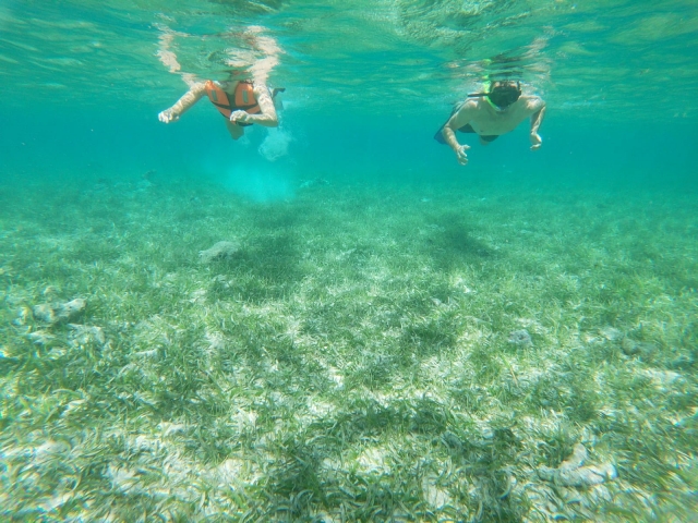 Nadando con equipo de snorkel