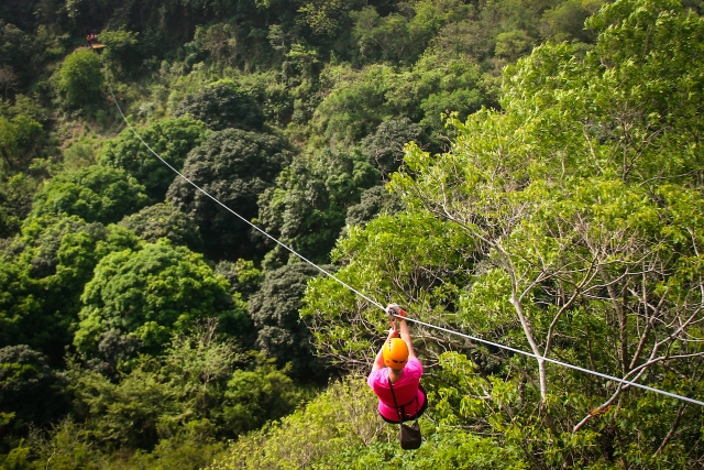 Cruzando los árbolererererereres de mango