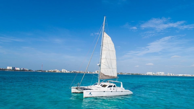 Visita guiada en catamarán
