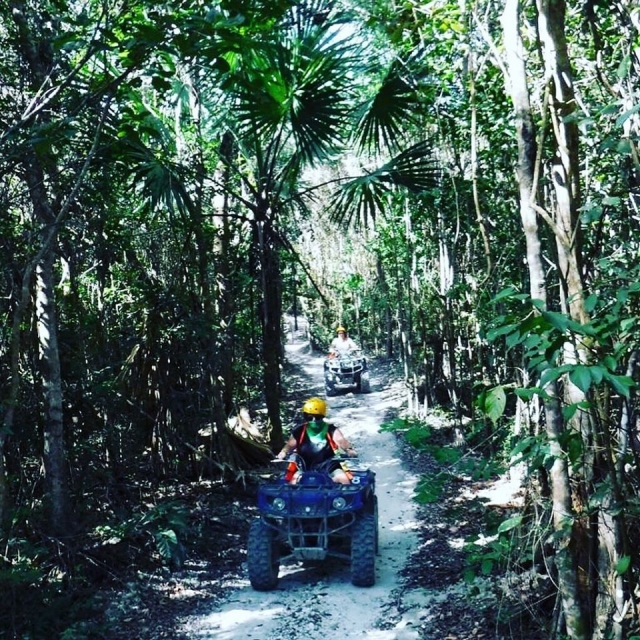 Visita guiada en quad