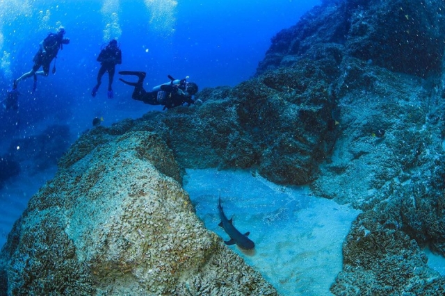 Inmersionereres de buceo en Cabo San Lucas