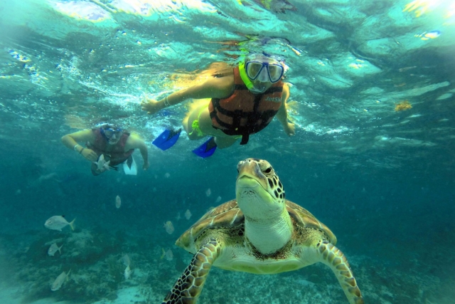 Snorkel en familia
