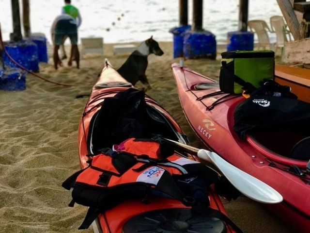 Kayaks listos para el paseo