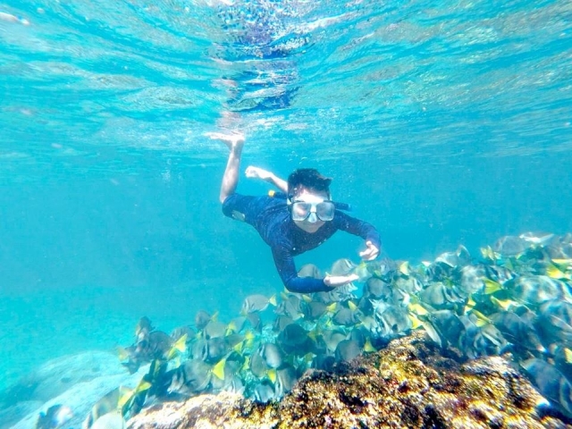 Snorkel en bahías de huatulco
