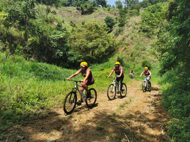 Bicicleta de Montaña